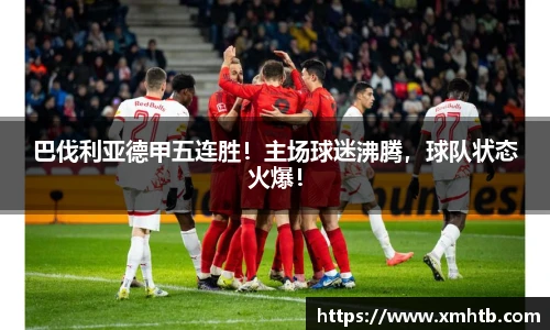中欧体育平台